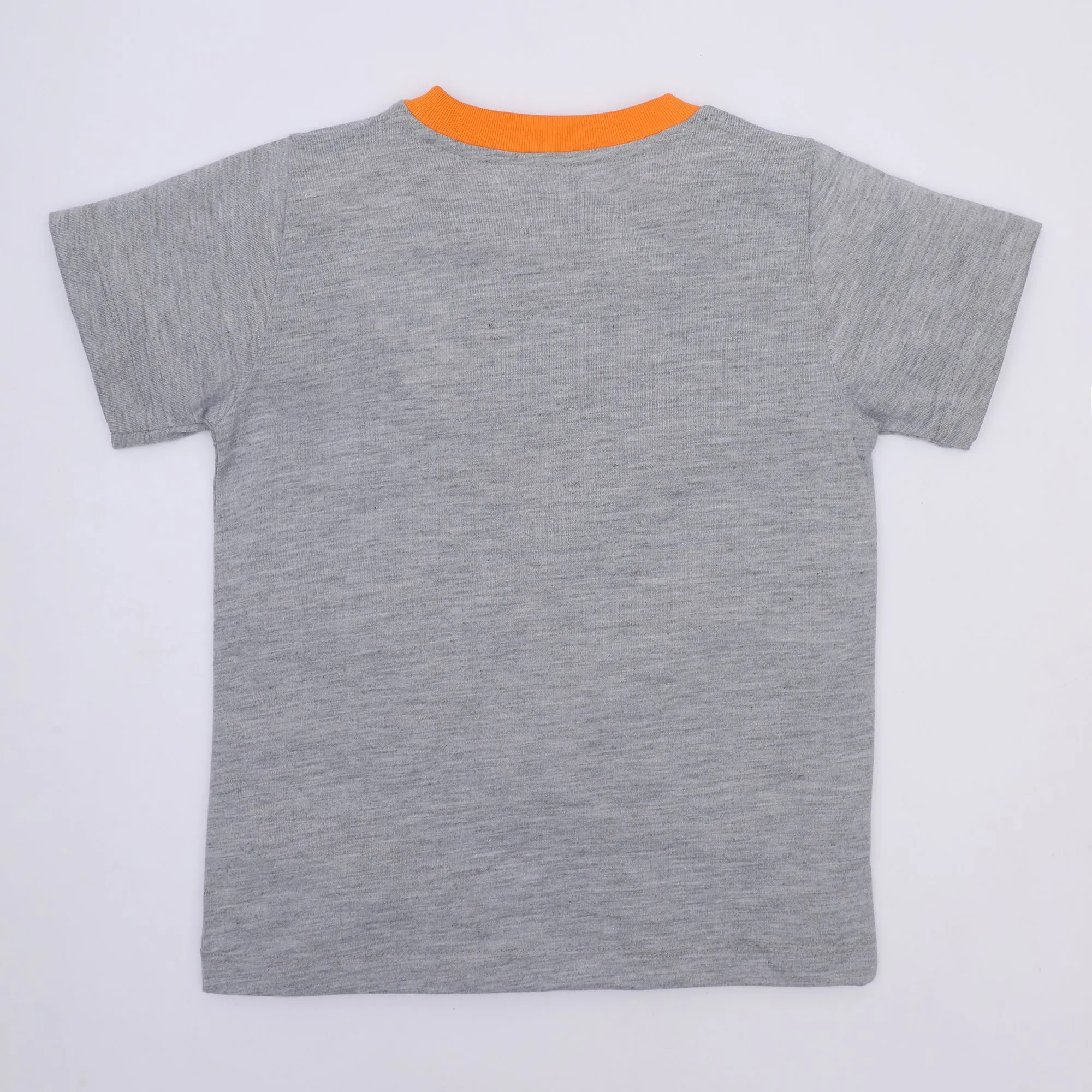Grey Tiger T-Shirt
